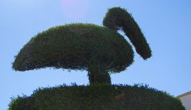 imagen6.jpg