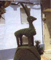jardin2.jpg