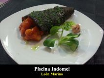 2.LEON MARINO-RESTAURANTE PISCINA INDOMEL.jpg